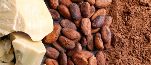Cocoa Beans And Cocoa Products