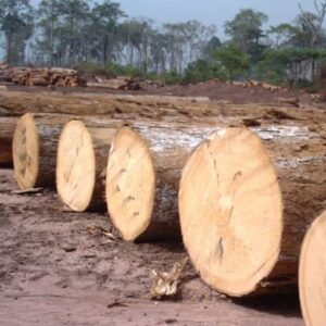 Saw Round And Square Logs