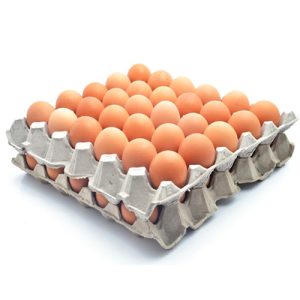 Fresh Farm Eggs