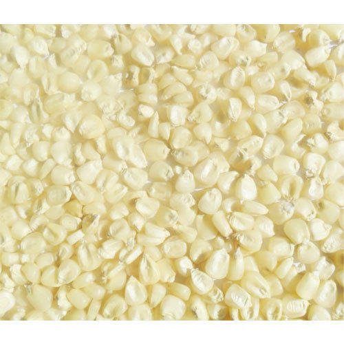 White and Yellow corn - Image 2